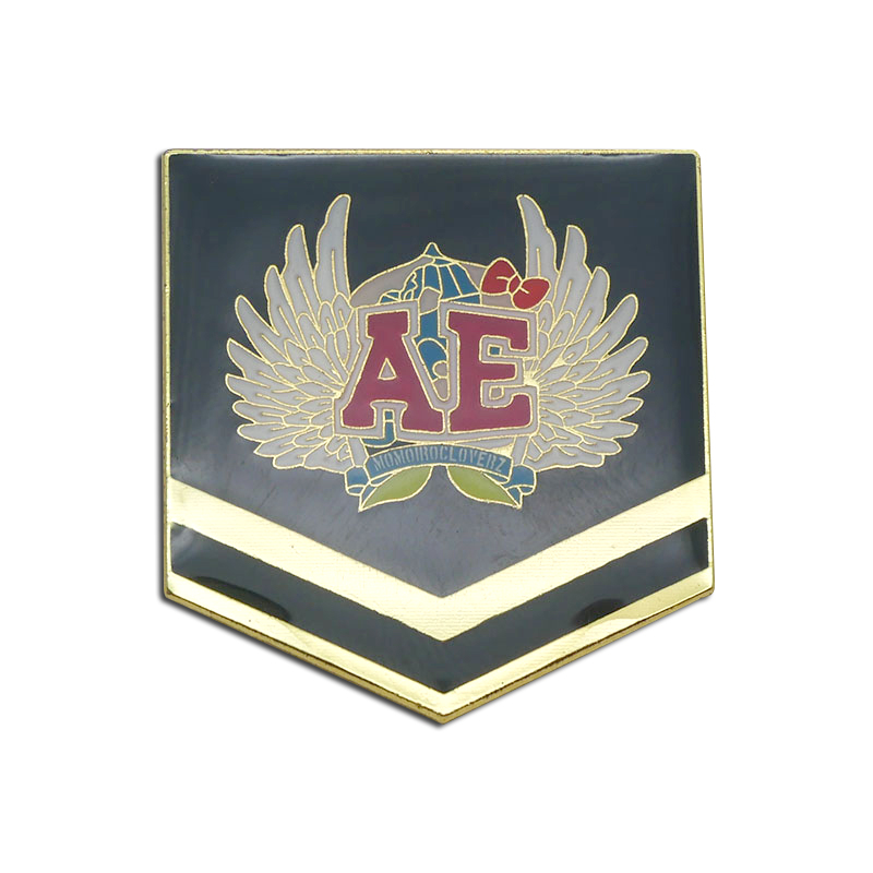 Badge Badge 图1张