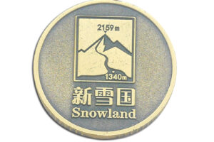 Commemorative coin