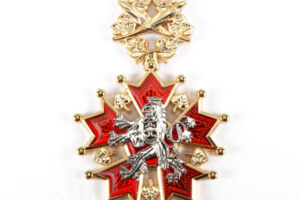 Military Force Badge