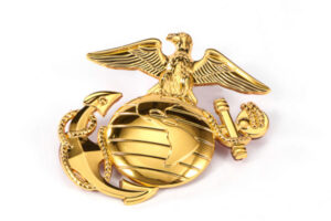 Military Force Badge