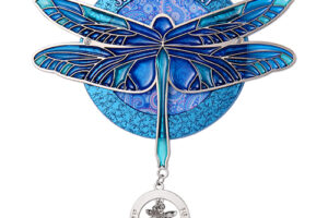 How to design a marathon medal with dragonfly?