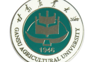 What are the materials customized by school badge?