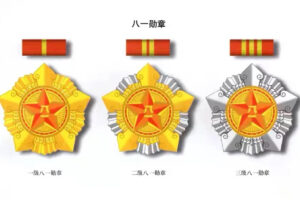 Introduction to the most comprehensive military medals in history