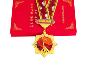 Commemorative Medal for Fighting the Epidemic