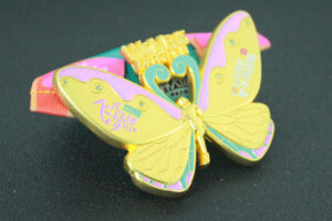 Shijiazhuang Women’s Marathon medal