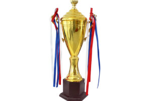 Metal trophy