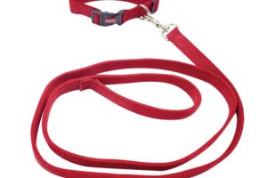 Pet leash (9)