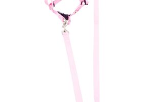 Pet leash (7)