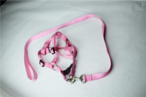 Pet leash