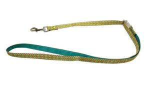 Pet leash (13)