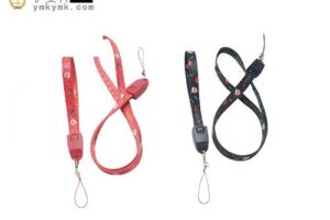 Multifunctional data lanyard