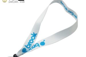 Professional disposable wrist strap