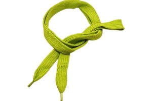 The sector shoelaces