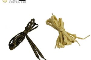 Custom lazy shoelaces