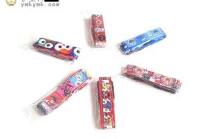 What is the lanyard you often see in your life?