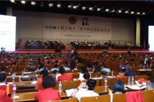 The 12th National Member Congress of the Domestic Lions Association was held smoothly