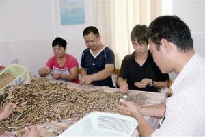 Shenzhen Lions Club’s low vision rehabilitation program has settled in Longgang