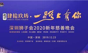 Meticulous and perfect presentation — wonderful story of 2020 New Year charity Evening Party group