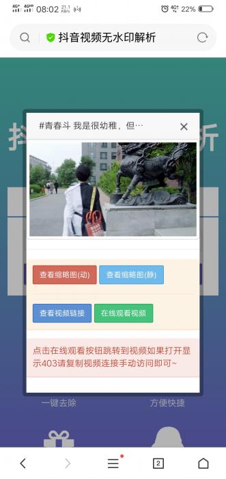 抖音无水印解析网站源码 程序源码 图1张